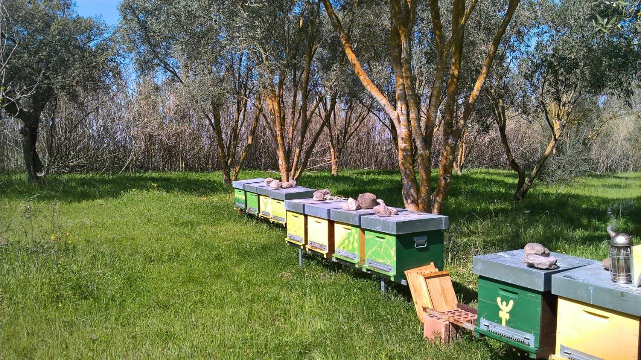 B&B Terra E Paglia Marrùbiu Екстериор снимка